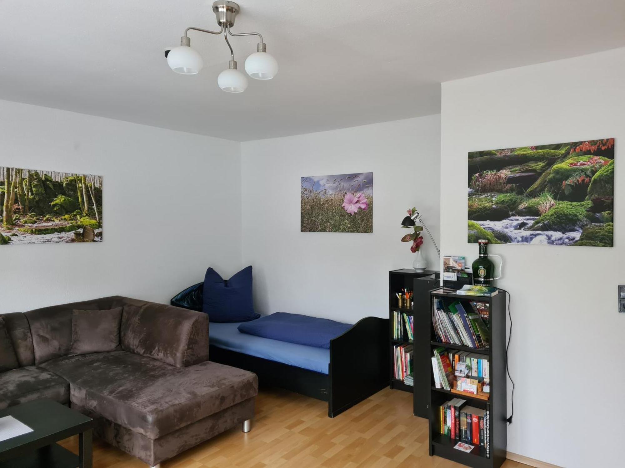 Ferienwohnung Eva Grebenhain Extérieur photo